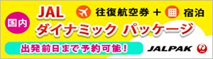 ダイナミックパッケージ